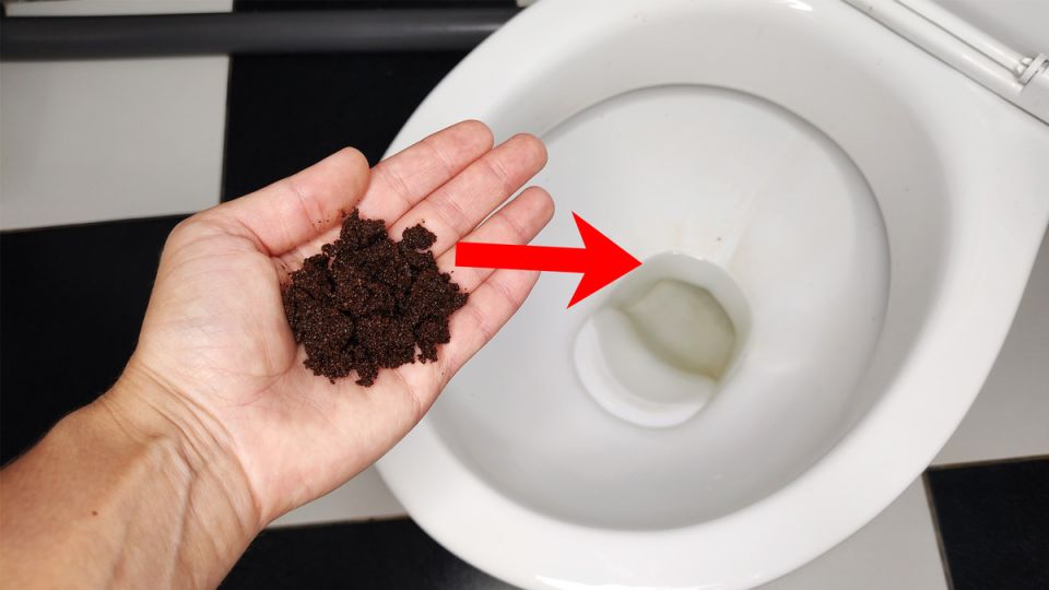 ��������� ���������� �������� ����: ��� �������� ������ � ���������� �� ������