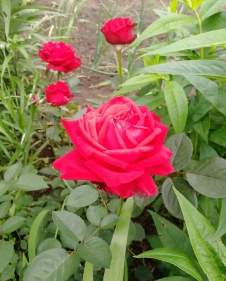 ������������ ���������: ��� �������� ���� �� "���������" � �������?