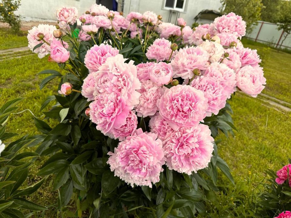 ������� ������� ������ � ������: ��� ����������� �� � ���� � ����������