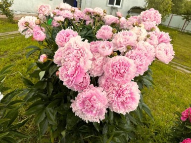 ������� ������� ������ � ������: ��� ����������� �� � ���� � ����������