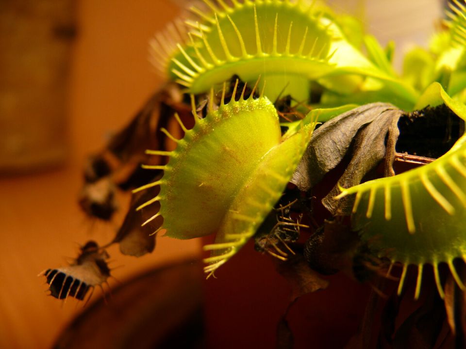 10 ������������ ������ � ��������� ������ ���������, ������� ��� ������