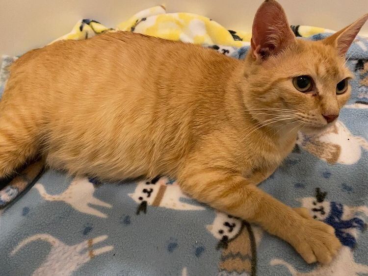 ����������� �����: ��� ����� ����� �������� ����� ����� ������