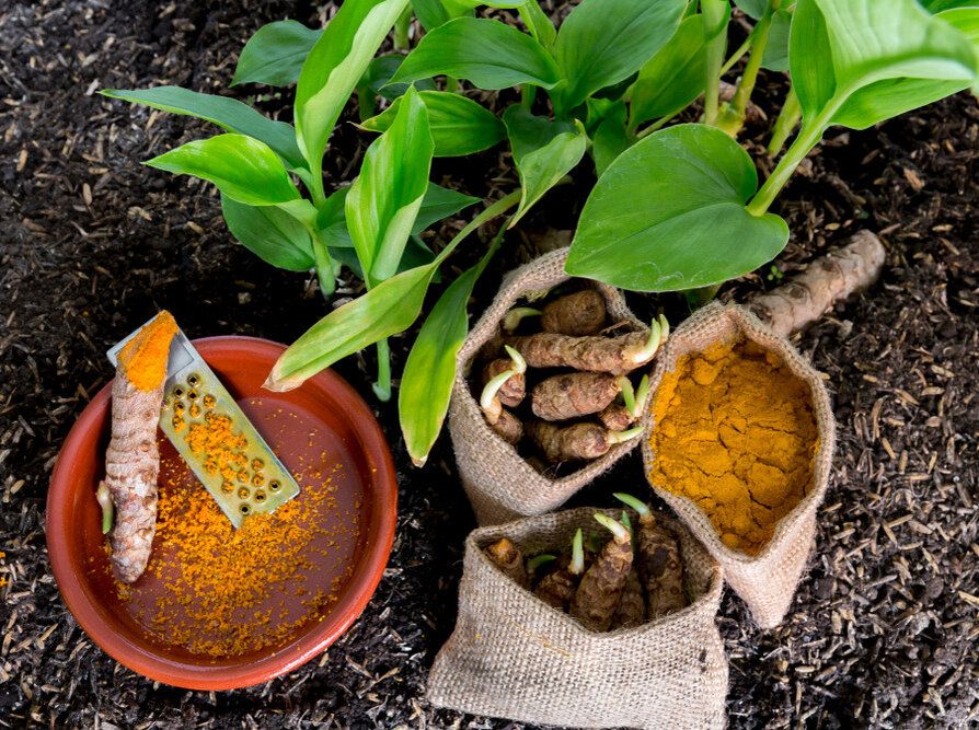 ��������� ��������, ������� ���� ��� ������� ������