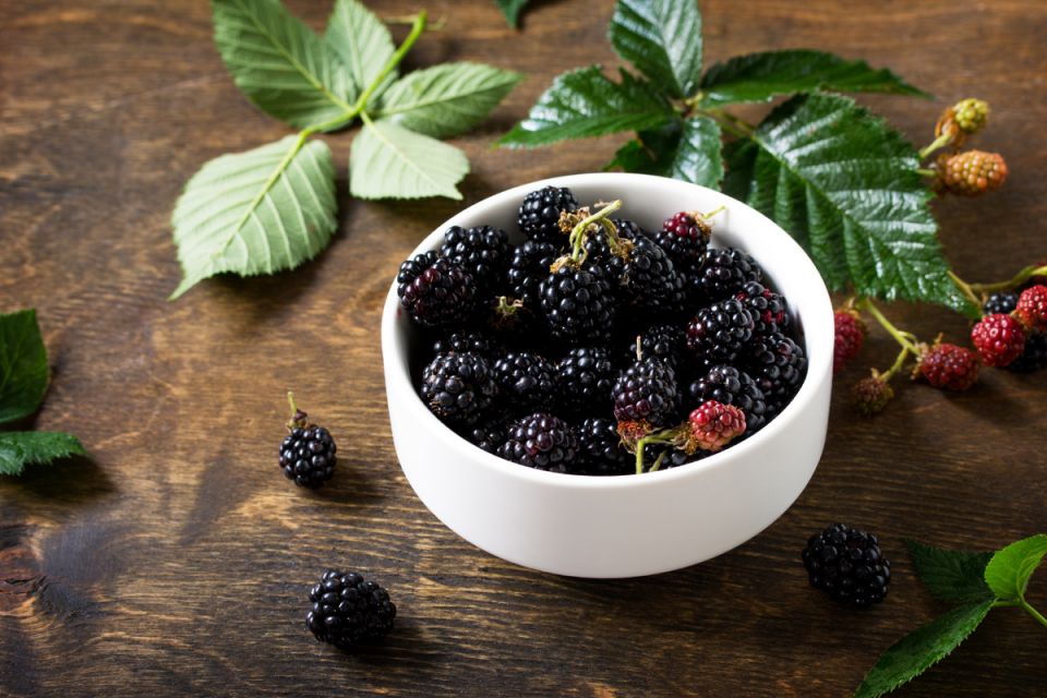 �������: ������� �������� ��� ����������