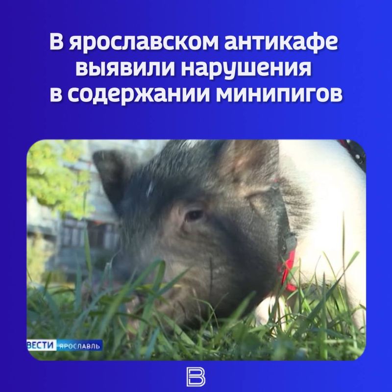 ����� ������������ ���������� ����������������� �� �������� � ����������� �������� ����� ��������� ������� ����������