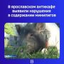 Итоги опубликовало Управление Россельхознадзора по Тверской и Ярославской областям после обращения местной жительницы