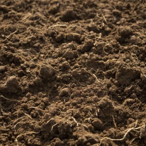 ����������� ������� ��� �������� ����������� �����: �������������� ��������� pH