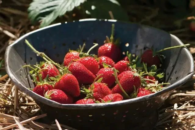 ������ ��� ������� �������� ������: ��� ����� �����, ����� �������� ������ ������