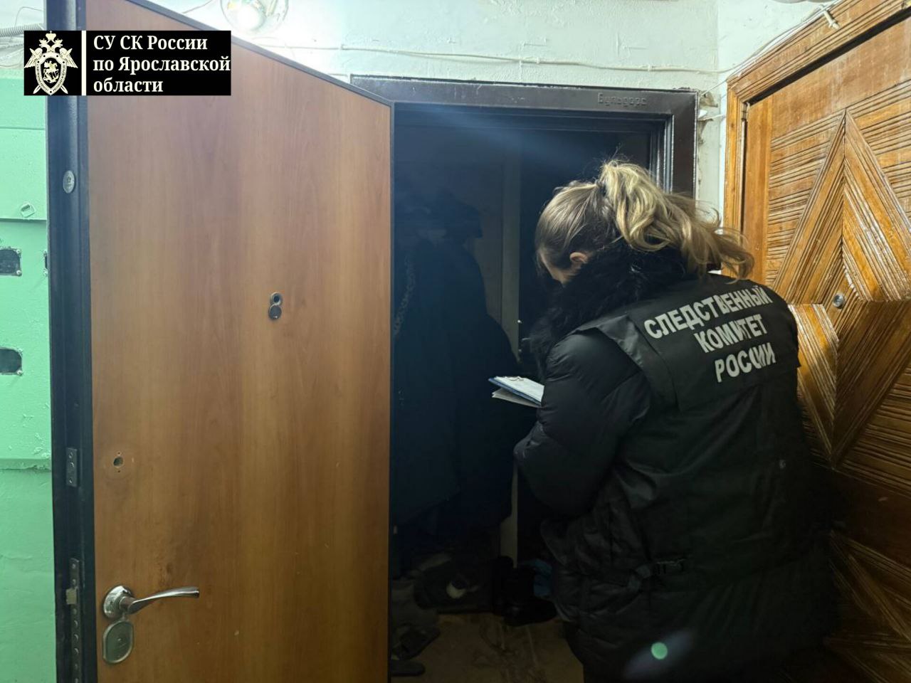 В Гаврилов-Яме по ходатайству следователя избрана мера пресечения местному жителю, обвиняемому в убийстве