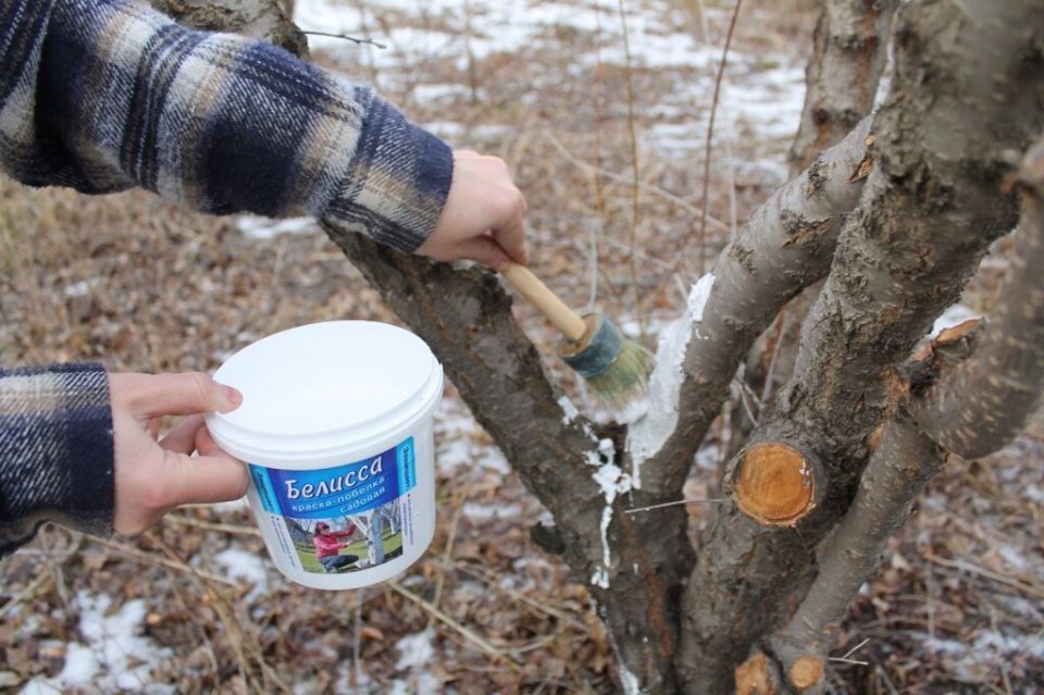 ��� ��������� �������� ������� �� ��������� ������ �����