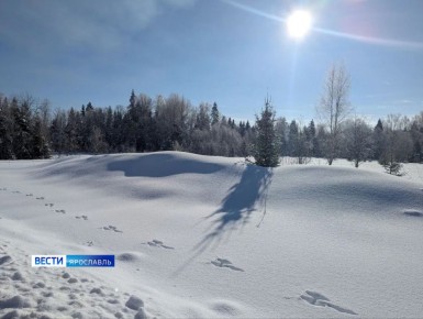 ������ �������� ��������������� ����������� �������� ���������� ������� ����������� ������� ��������� �������