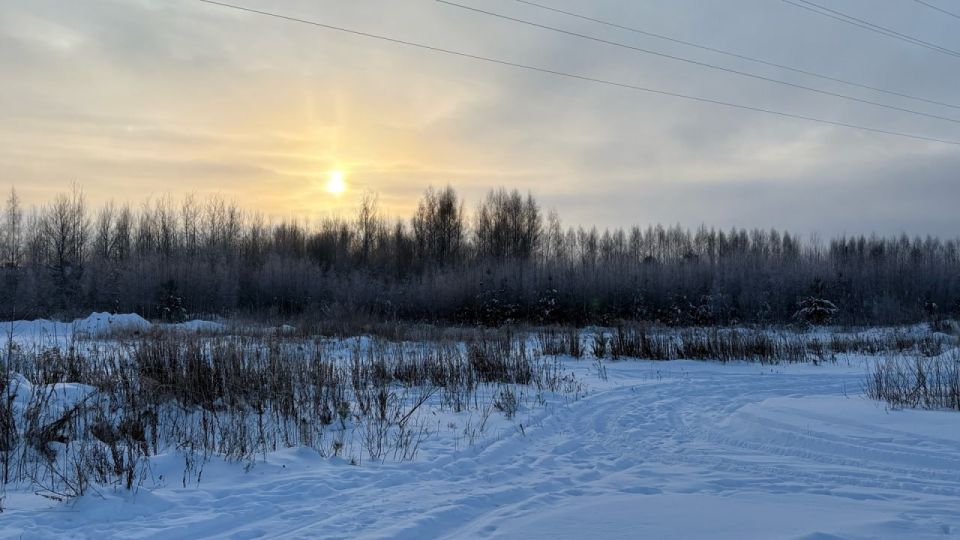 � ��������� ������ ���� ���������� ������� ������ ������