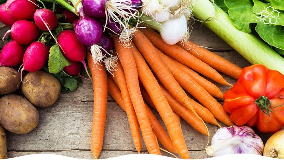 ������ ������� ����� ��� ���������� �����������