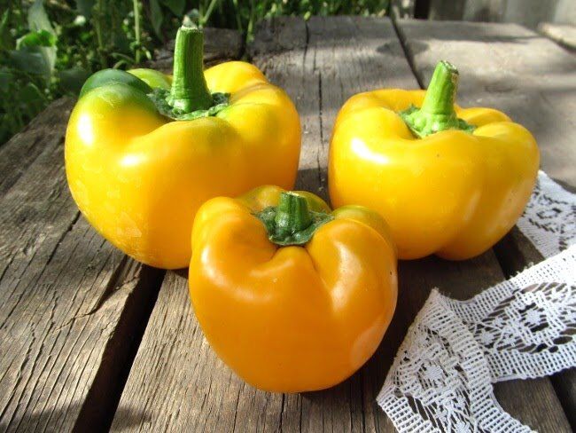 ������ ��� F1: ������ ���� ����� ������� ������ �������