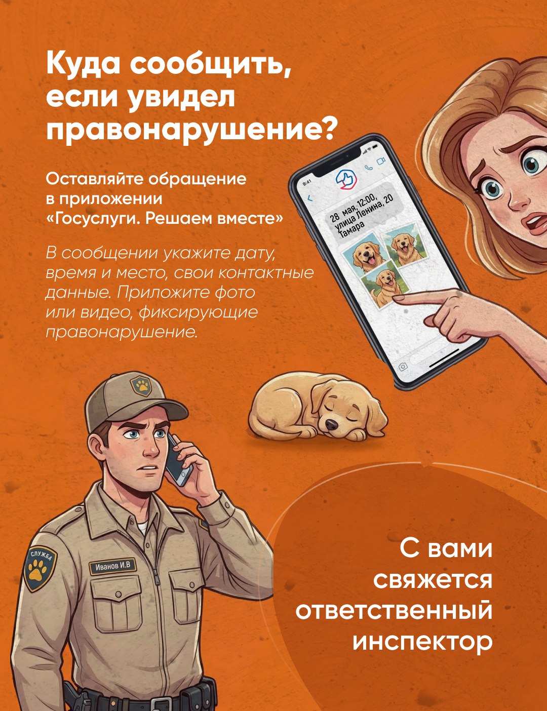 Куда обратиться, если собаку выгуливают не по правилам? Куда обратиться, если собаку выгуливают не по правилам?