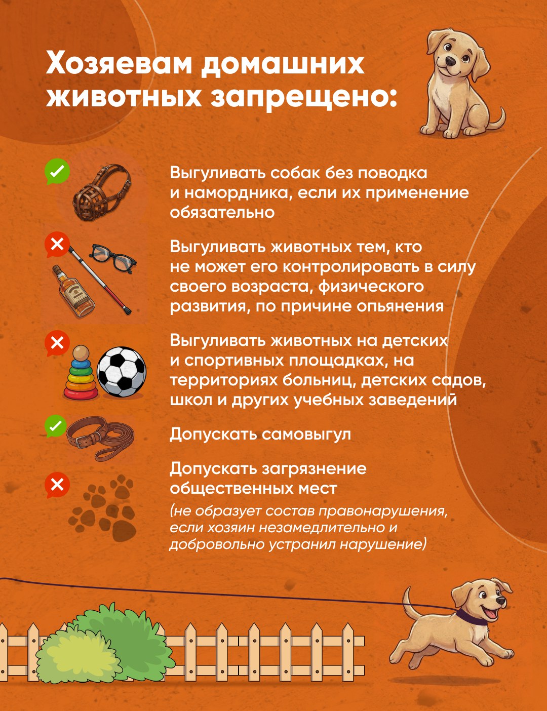 Куда обратиться, если собаку выгуливают не по правилам? Куда обратиться, если собаку выгуливают не по правилам?