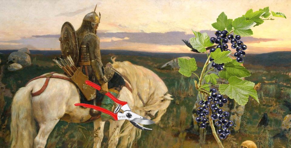 ������ ������� ������� ���� ����� ����� �������