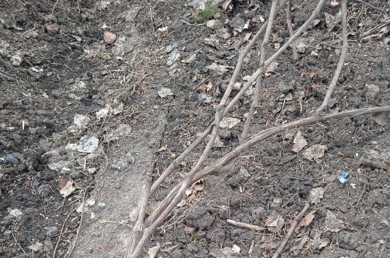 ������, ������� ����� �������� ��� �������� ����� �� ����������