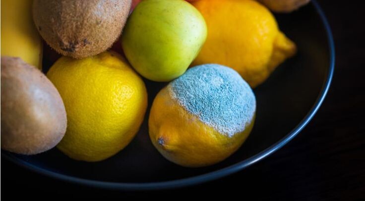 Плесень на продуктах: как не стать жертвой коварного грибка