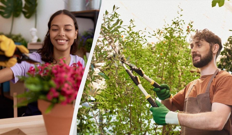 ������ �������: ����� �������� ��� ������� � ����� �� ���������