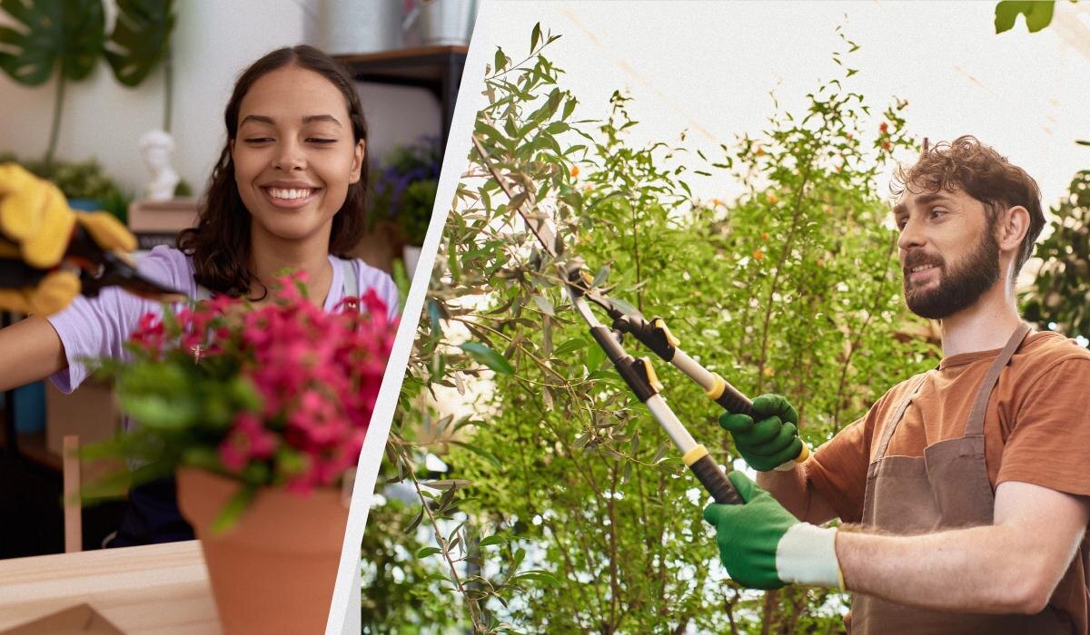 Зимняя обрезка: какие растения под угрозой и стоит ли рисковать