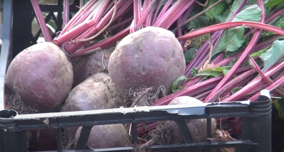 ������� ������ � ����: ��� �����, � ��� ������?