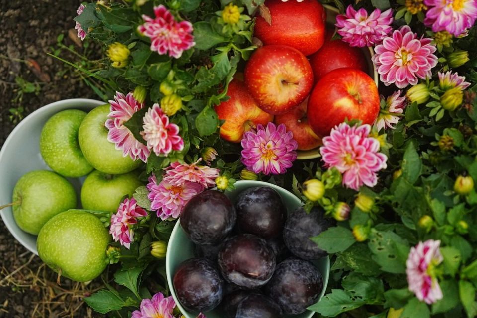 ������� �������� ������ � �������� ���������