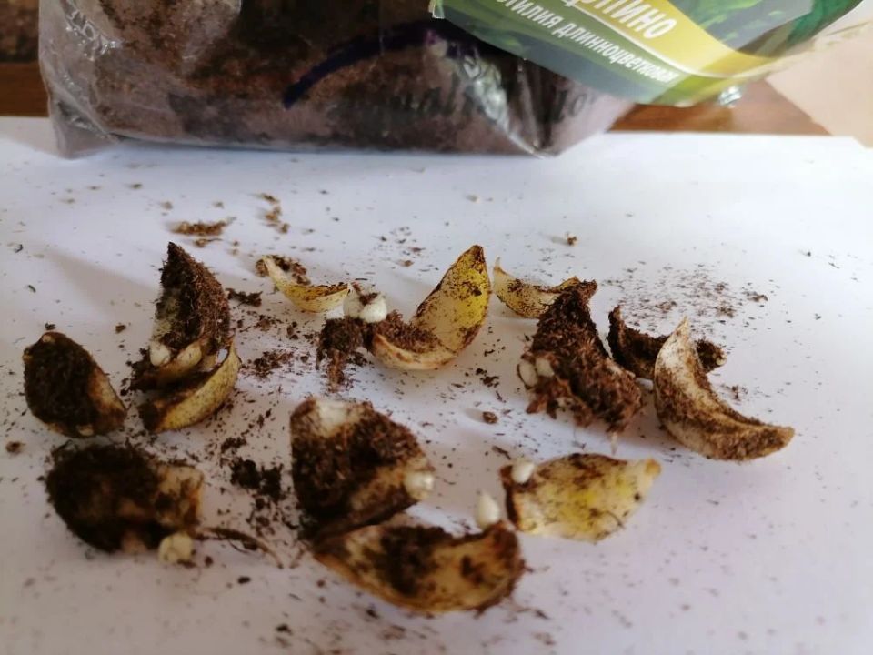 ������������ � ������������ �����: ��� ���������� �� ������