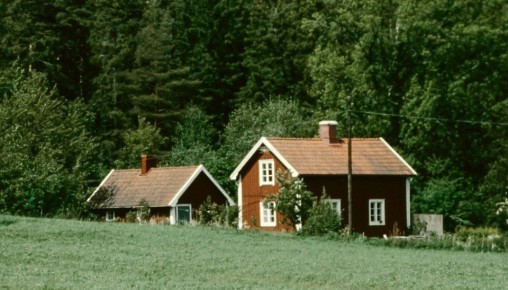 ����������� �������: ��� �������� ���� ����� �� ��������� �������