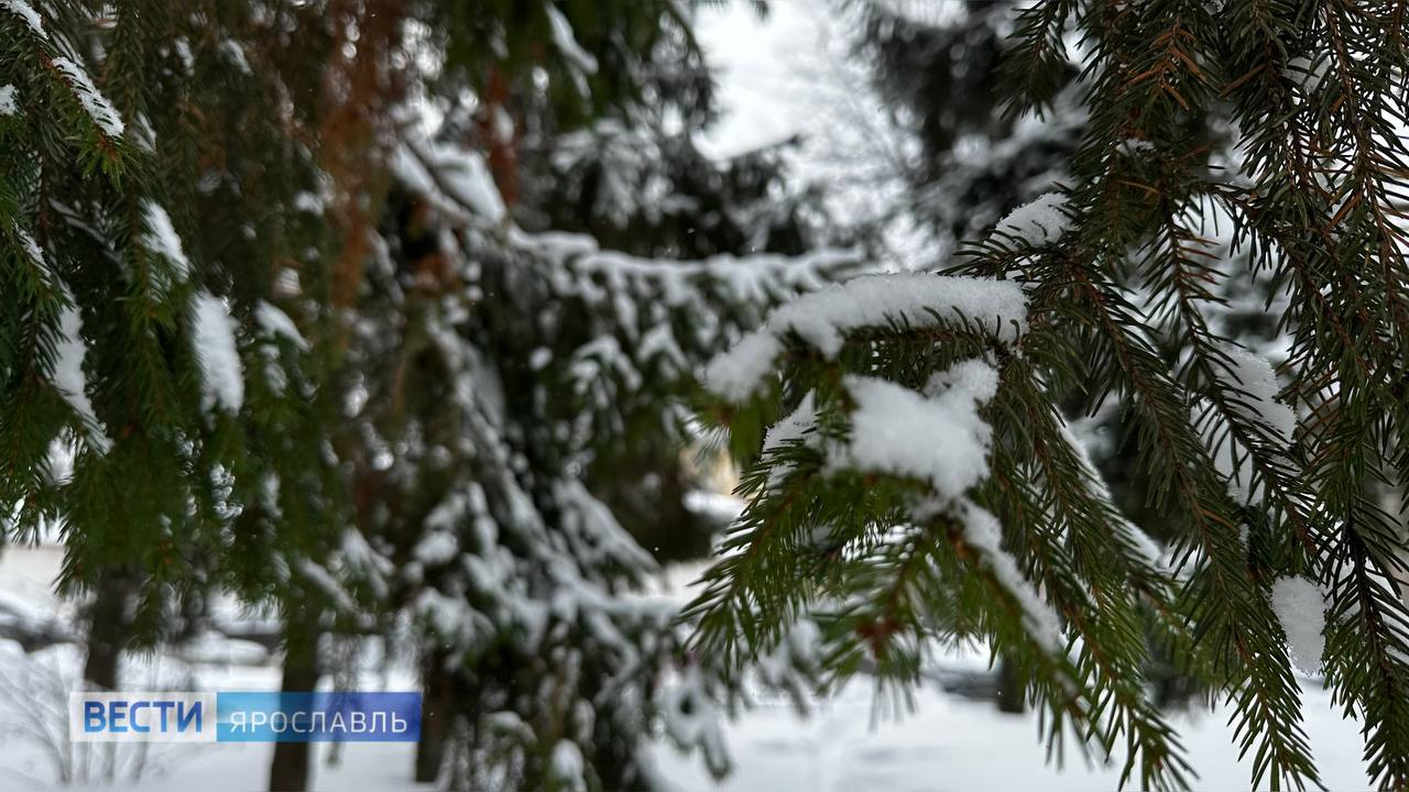 Доброе утро, Ярославль!. Короткая рабочая неделя стремительно подходит к финалу — остался всего один рабочий день, а впереди уже нас ждут тёплые выходные