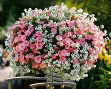 Яркие компаньоны для петуний: как создать идеальную клумбу