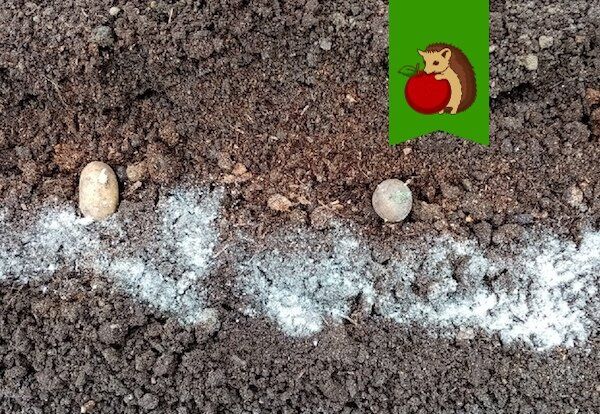 ������ � ����� ������������� ���� ��� ������� ���������