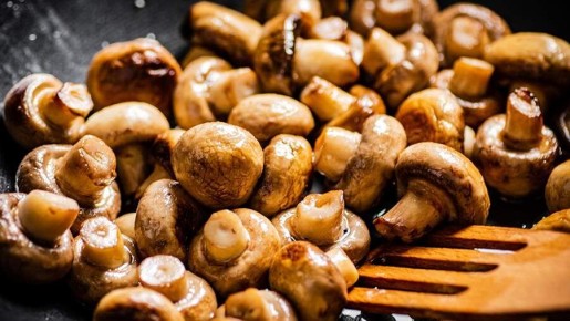 ��� ��������� �������� �����: ������ �������� ��������