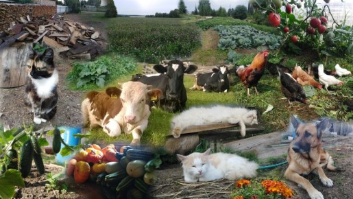 ���� �������� �������� � ����: ������ ������ ��� �������� ������