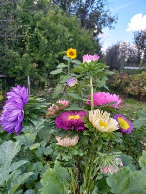 ������� ������ �� ���������� � ��������� ���� �����