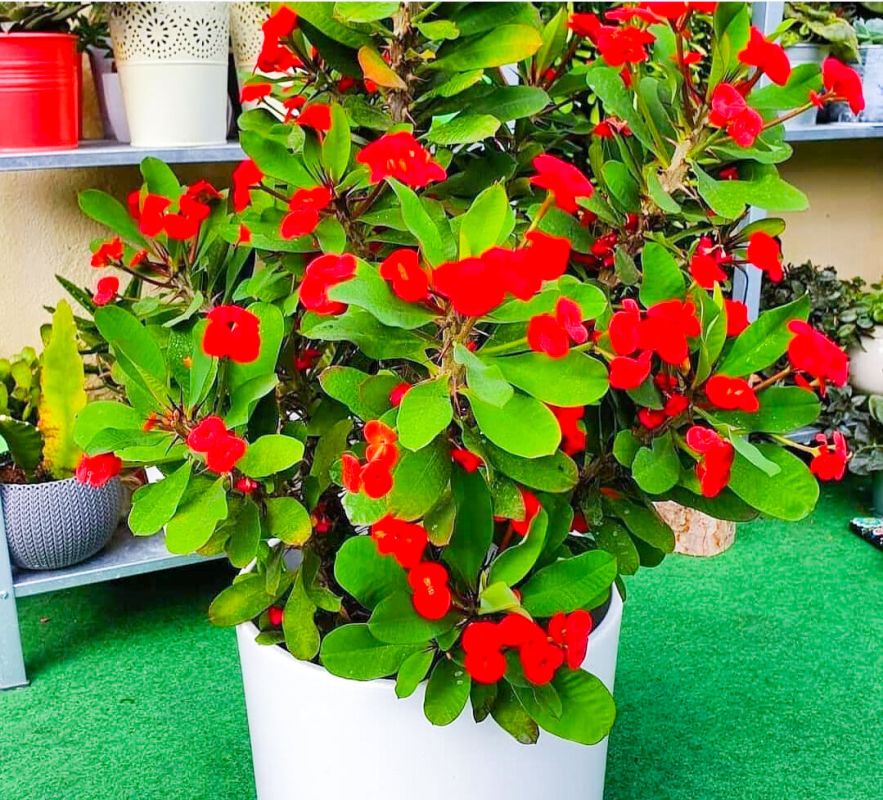 �������� �� �������: ��� ������� ������ ������������ � ������ � ����� ����