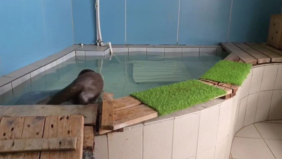 ������ ����, ���������!. ���� �� ����������� �� ������ ��� �����, ���������� ���������� ����������� �� ������������� ������������ �������� � ����� �� ������ �����