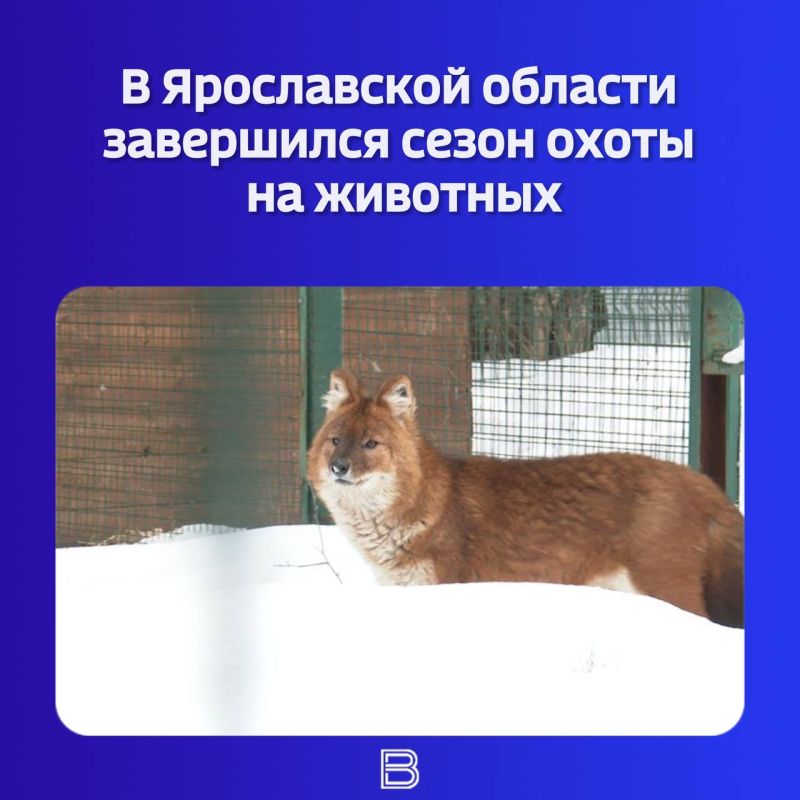 �� ���� ���������� � ������ ����� ��������� �� 31 �����