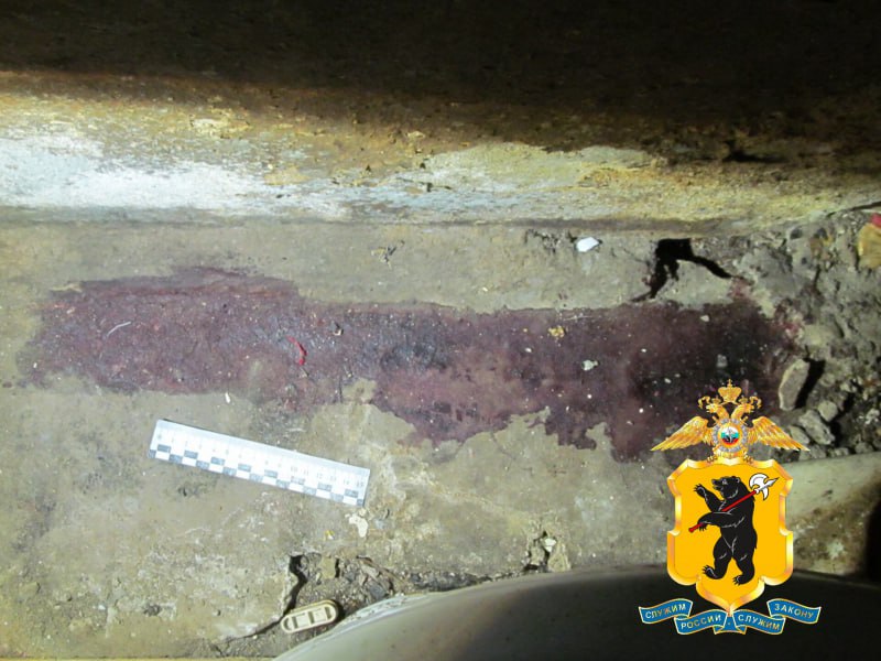 В Ярославской области оперативниками рыбинской полиции задержан мужчина, подозреваемый в совершении убийства матери-инвалида и ее сожителя