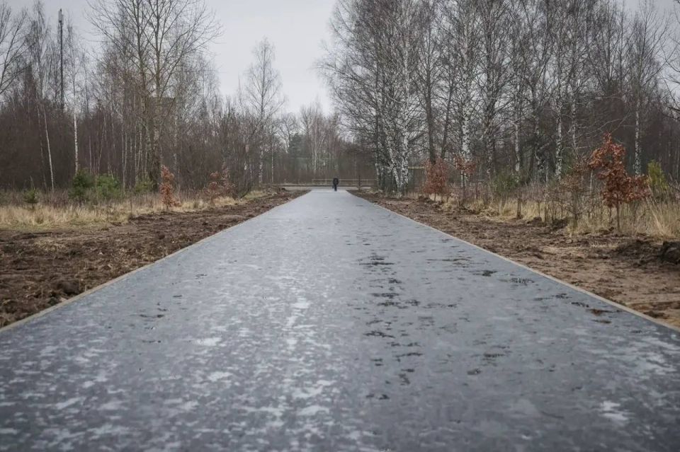 Дмитрий Рудаков: Утвердили список тротуаров для ремонта на 2026–2027