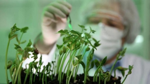 ��������-�������: ��������� ������ ������� � ������� � ����� ����?