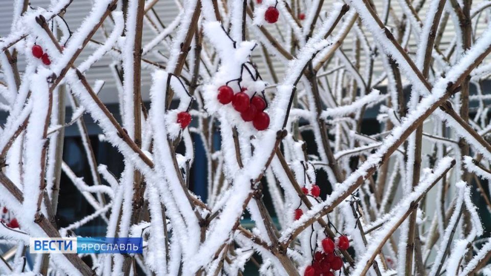 ������ ����, ���������!. ������������� ������ �������� ��� ��� �������, ���������� ���������