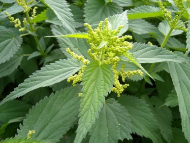 ��� ������ ������������: ��� ����� ������� �������� �������� ������� ����� � ������������ ������ �������