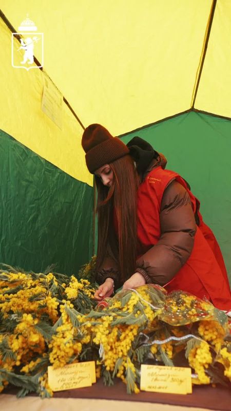 В Ярославле открылись цветочные базары