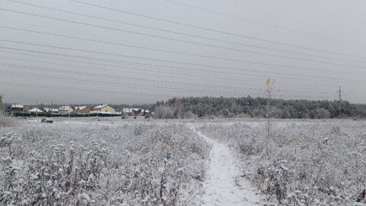 ����� ����� ���� �� ���������: ���������� ���������� � ������ � ����������� ���