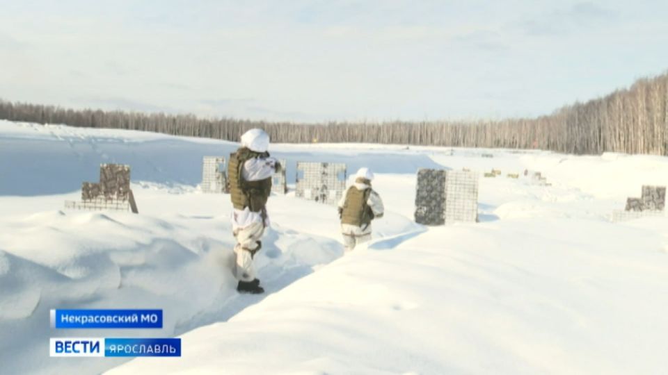 Эти девушки хрупкие только на первый взгляд