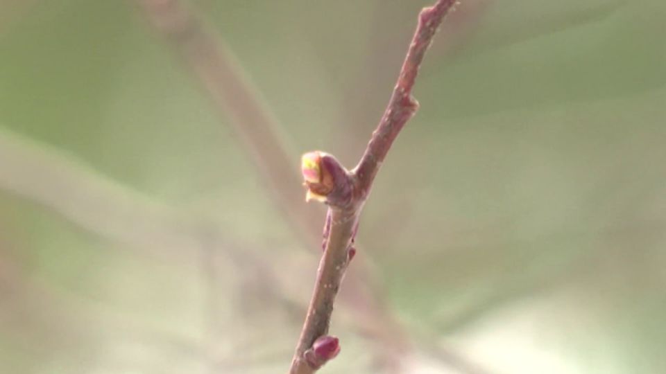 ����� � ����������� ������� ������ ��� �� ���� ������