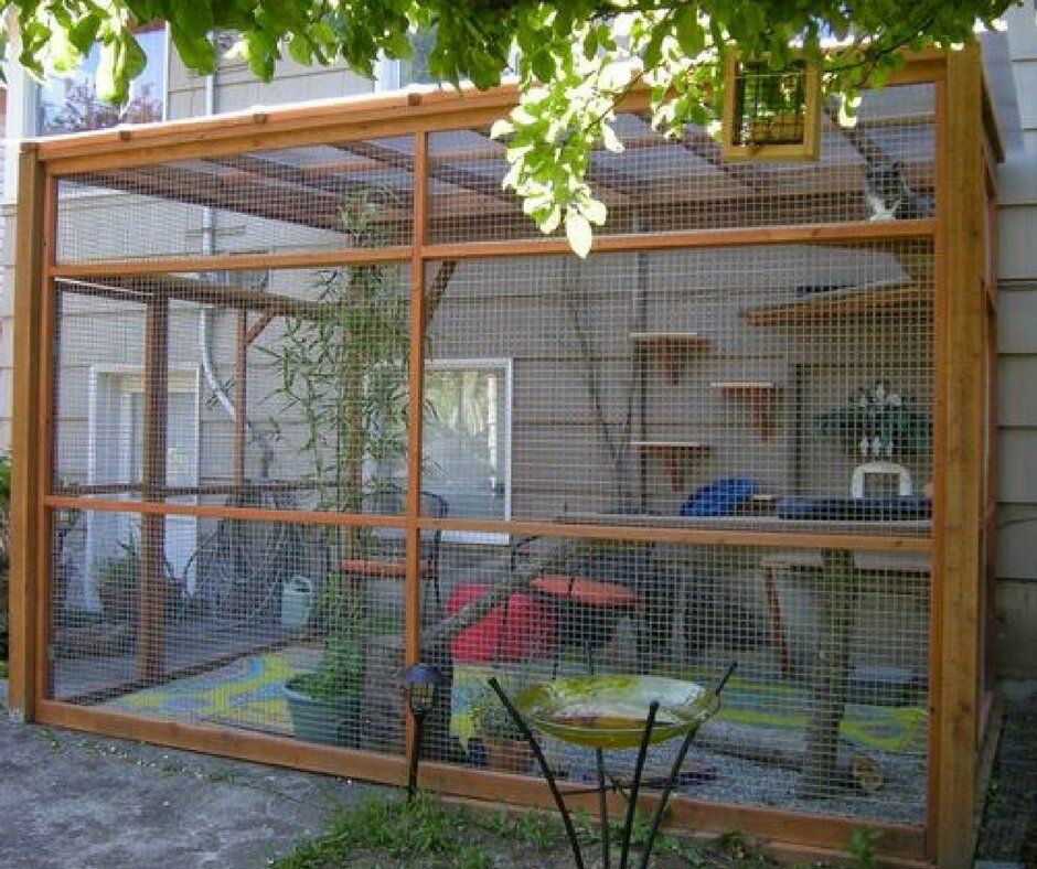 ��� ������� ���������� ������ ��� ����� ����� �� ����