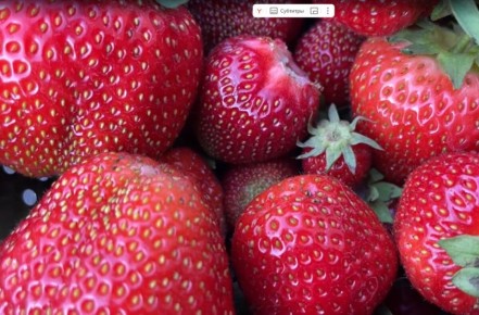 ��� ��������� ��������: ������� ��� ������ ����