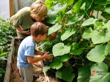 ��� ������� ��������� ������ � �������: ������ �� ������ �������� � �����